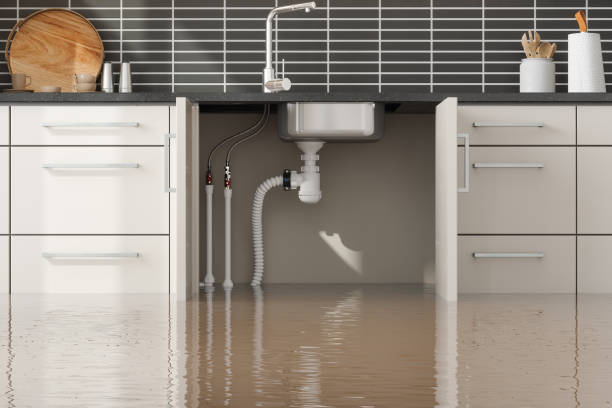 Best Ceiling water damage repair  in USA